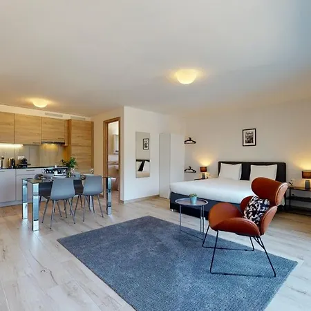 Furnished #505 - Swiss Apartman Aigle